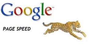 steps-to-optimize-your-website-load-time_google_page_speed